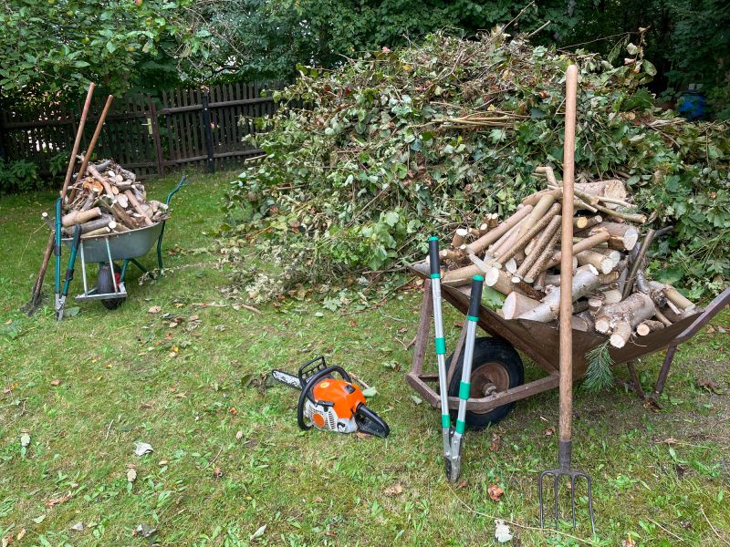 Apple Tree Removal